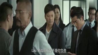 乱在线观看,揭秘网络世界的混乱与秩序  第3张